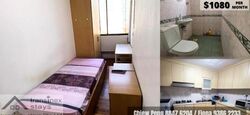 Balestier Plaza (D12), Apartment #481358381